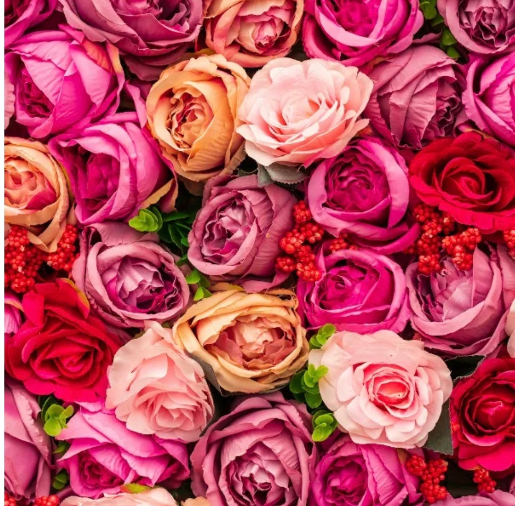 The Art of MeiraSol Digital Ritual